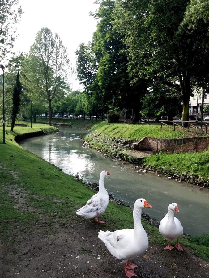 La Petite Maison Apartman Treviso Kültér fotó